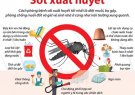 Các biện pháp phòng chống bệnh sốt xuất huyết Dengue.